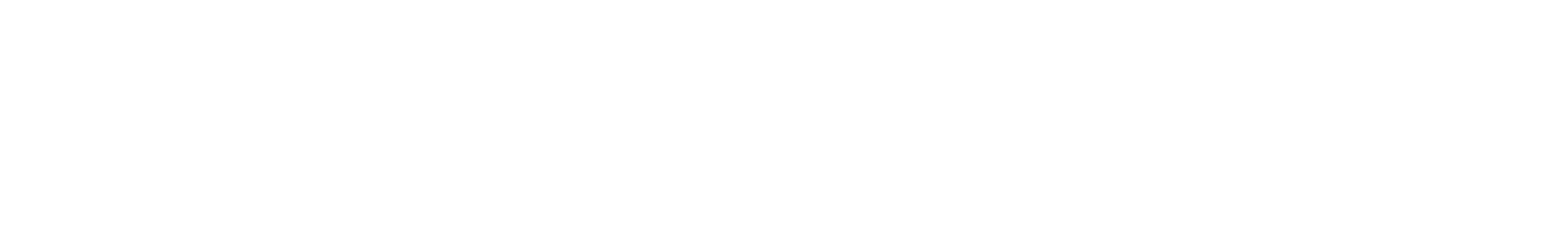 Bonboss Logo